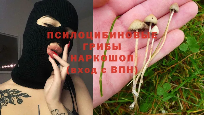 Псилоцибиновые грибы MAGIC MUSHROOMS  МЕГА ссылки  Петропавловск-Камчатский 